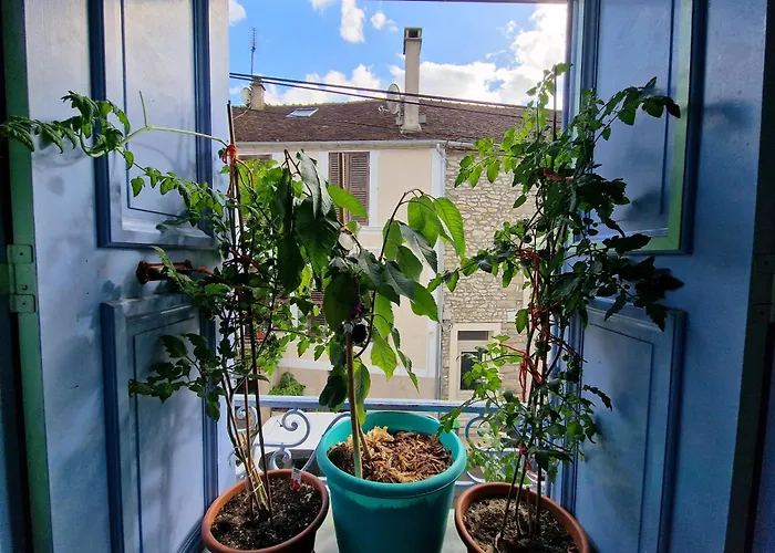 Chez Mamichou * Moret-sur-Loing